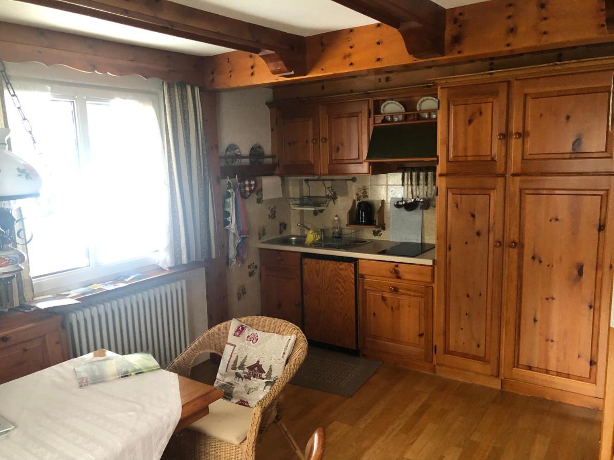 Gaestehaus Lickert Ferienwohnung Sued Feldberg Гінтерцартен Екстер'єр фото