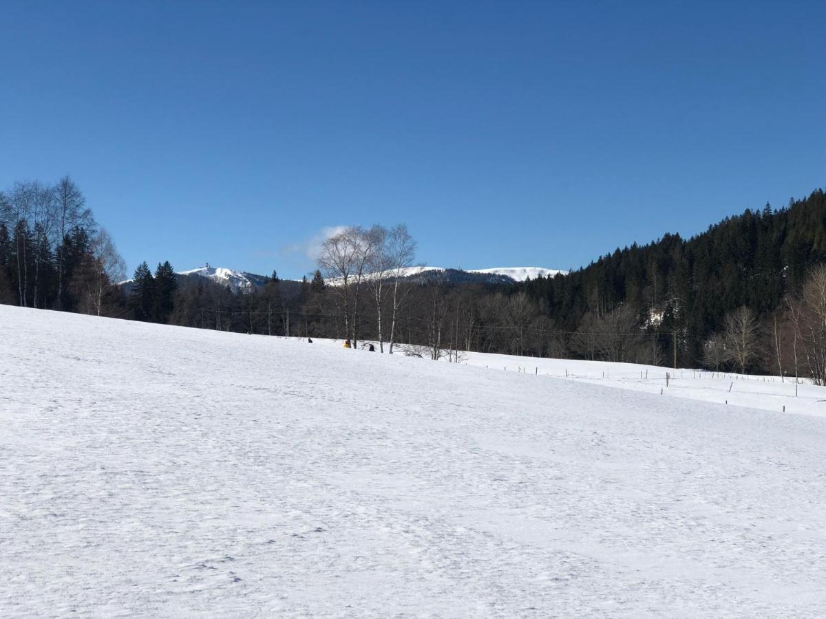 Gaestehaus Lickert Ferienwohnung Sued Feldberg Гінтерцартен Екстер'єр фото
