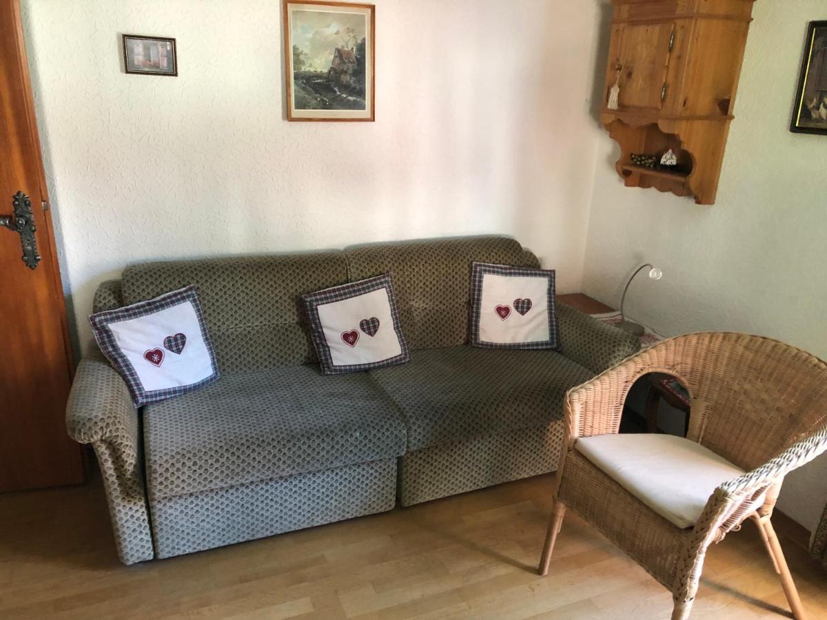 Gaestehaus Lickert Ferienwohnung Sued Feldberg Гінтерцартен Екстер'єр фото