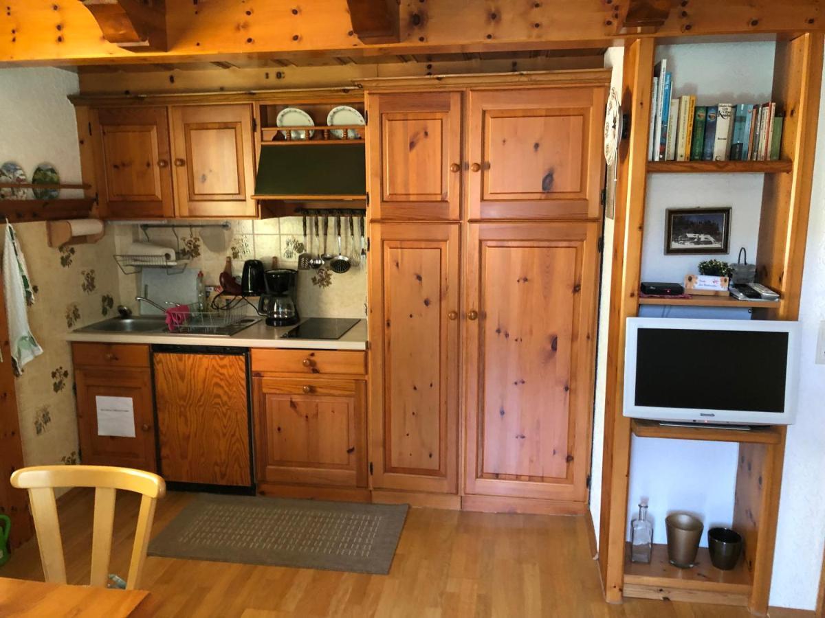 Gaestehaus Lickert Ferienwohnung Sued Feldberg Гінтерцартен Екстер'єр фото